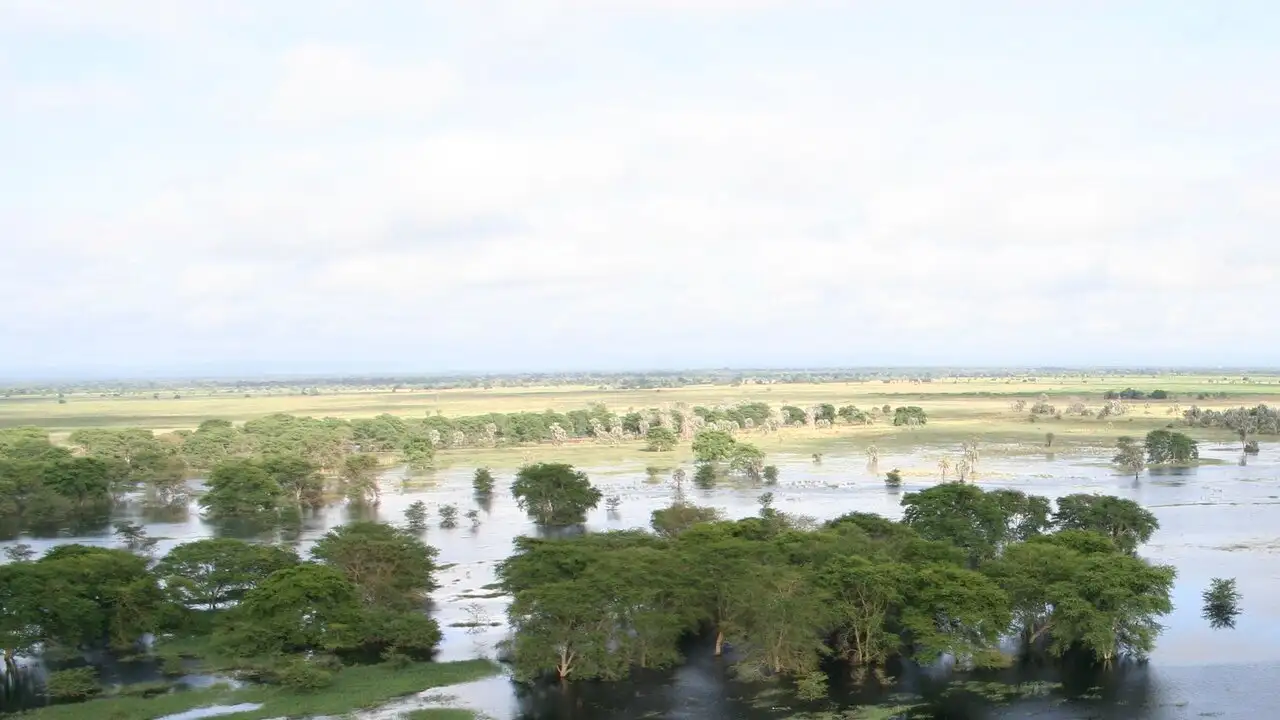 Le paradis perdu d'Afrique - Episode 01 – image d’arrière-plan