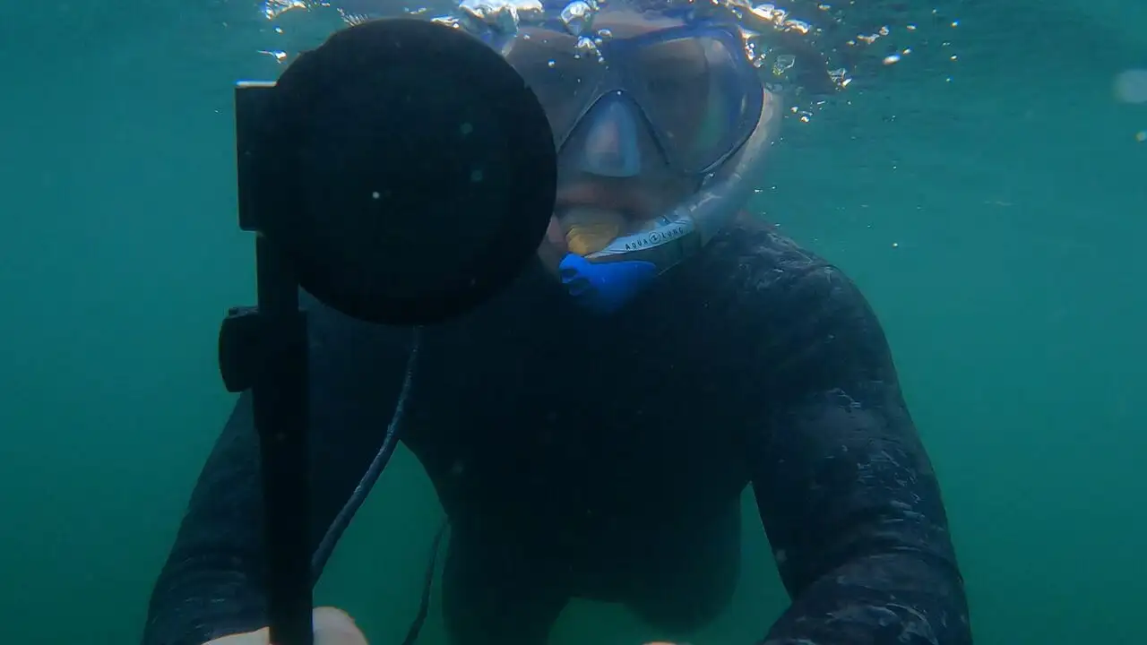 Aventures de pêches - Saison 1 - Requins et carpes – image d’arrière-plan