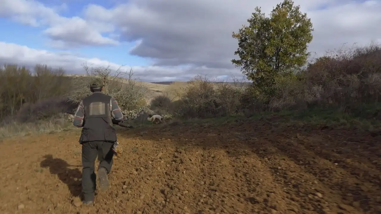 Tous fous du calibre 20 - Saison 2 - Des cailles complexes – image d’arrière-plan