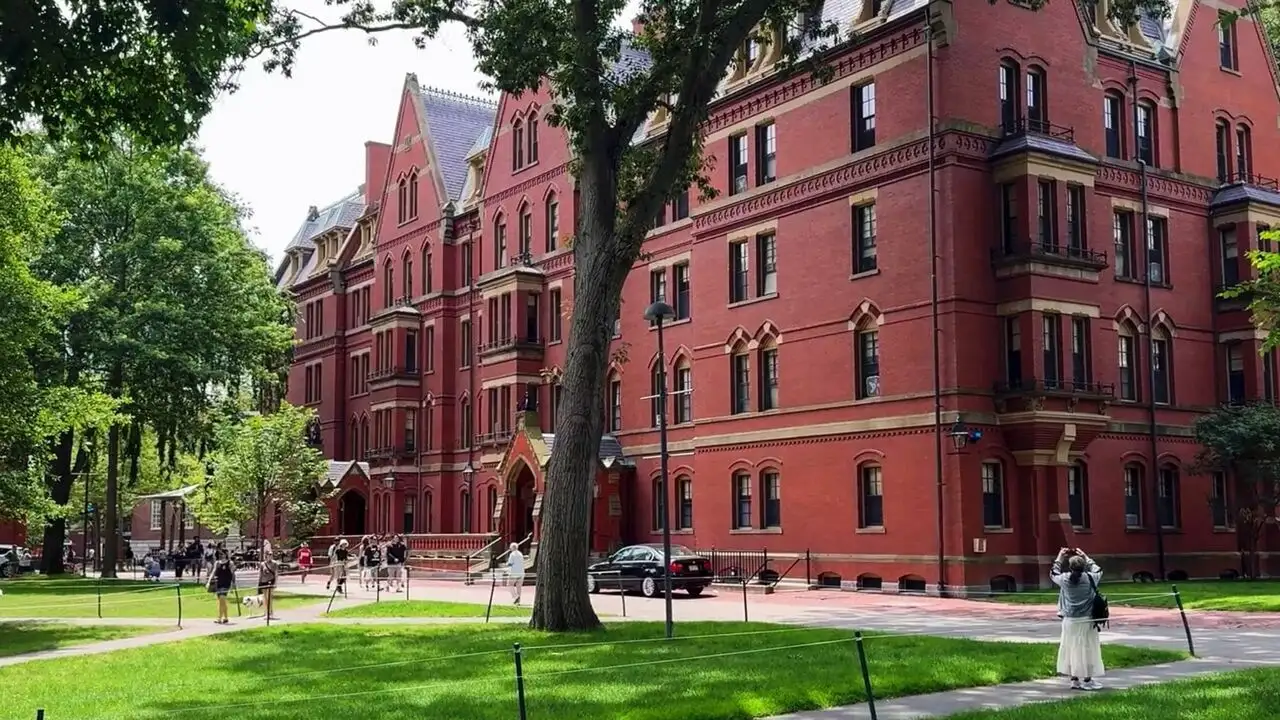 La bataille de Harvard - Saison 1 - L'argent – image d’arrière-plan