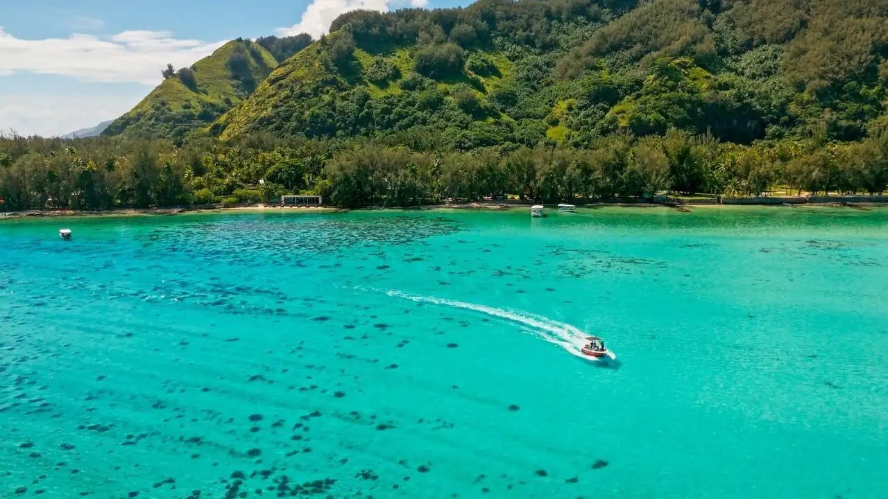Océanie, sur les routes de la mer - Les Fidji – image d’arrière-plan