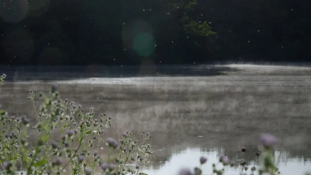 Label Pêche dans le jura - Saison 1 – image d’arrière-plan
