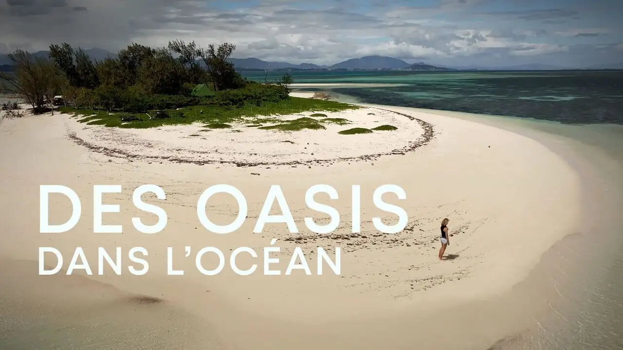 Des oasis dans l'océan – image d’arrière-plan