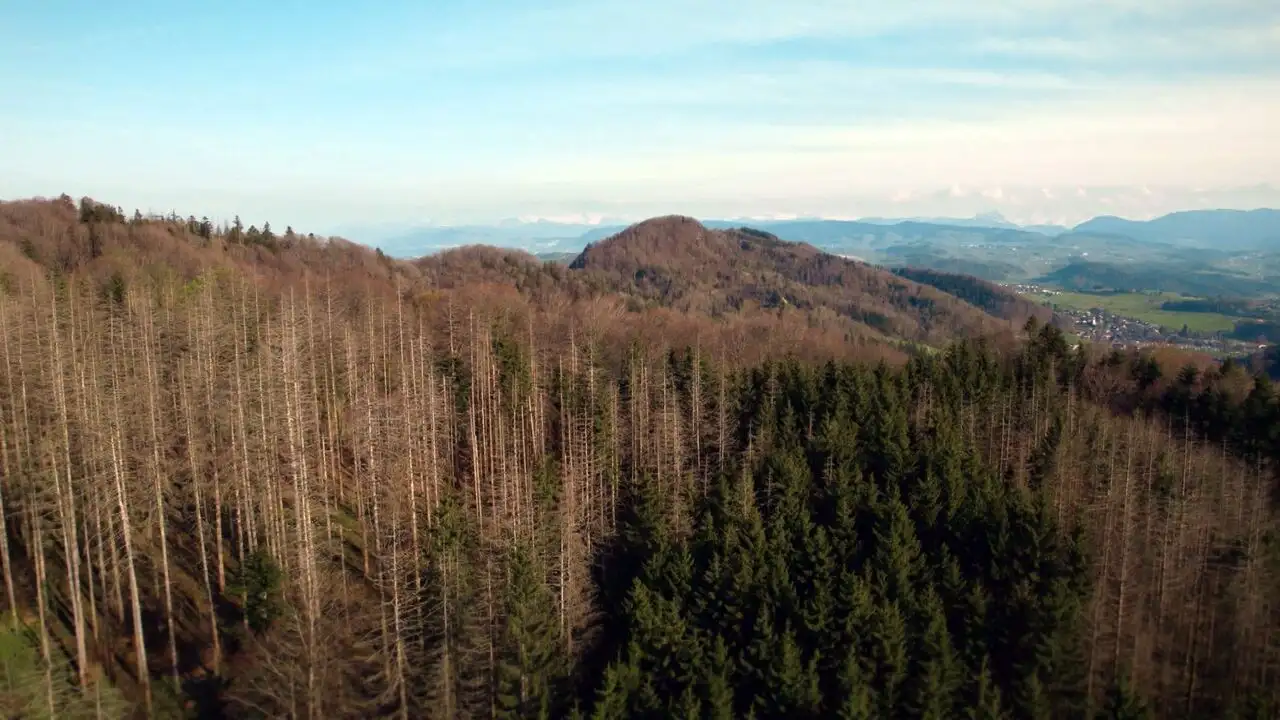 Rendez-vous au parc - Saison 2 - Le Parc naturel régional Gruyère Pays-d'Enhaut – image d’arrière-plan