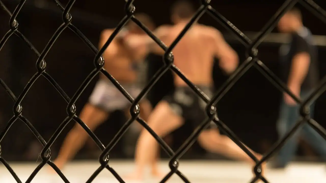 Format UFC - Nathaniel Wood - Losene Keita – image d’arrière-plan