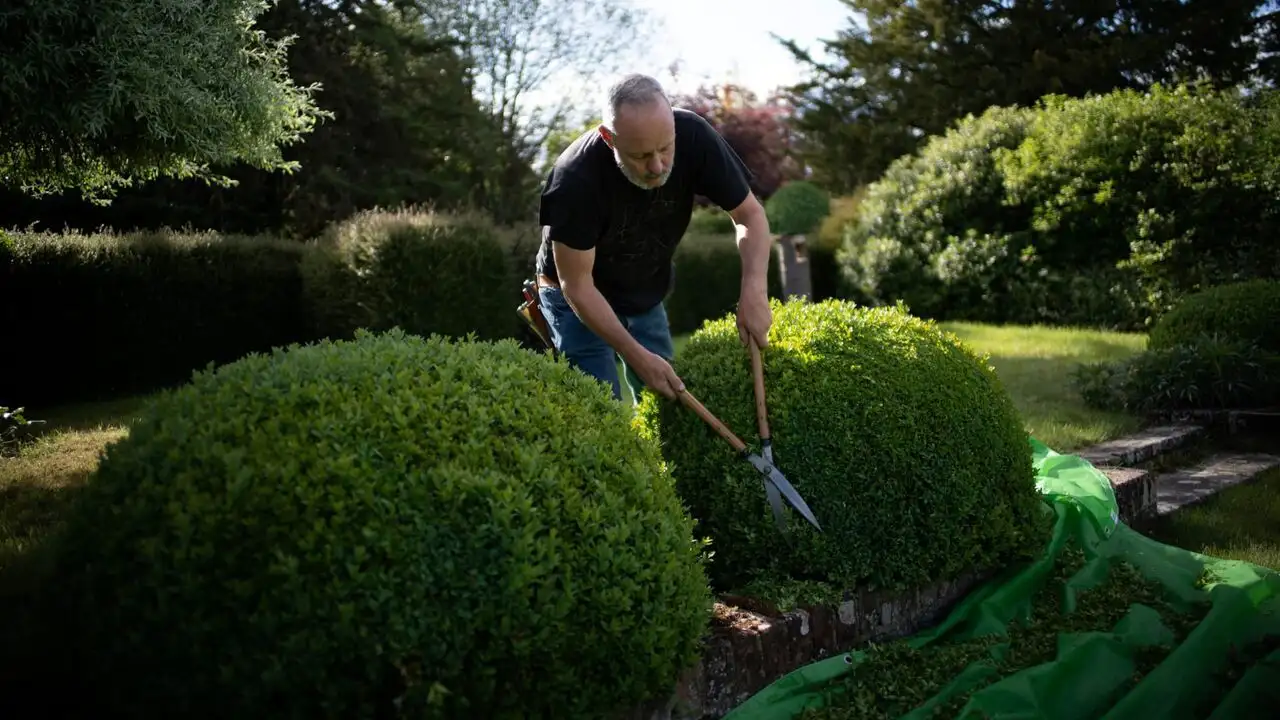 Le jardinier, le bouddhiste et l'espion – image d’arrière-plan