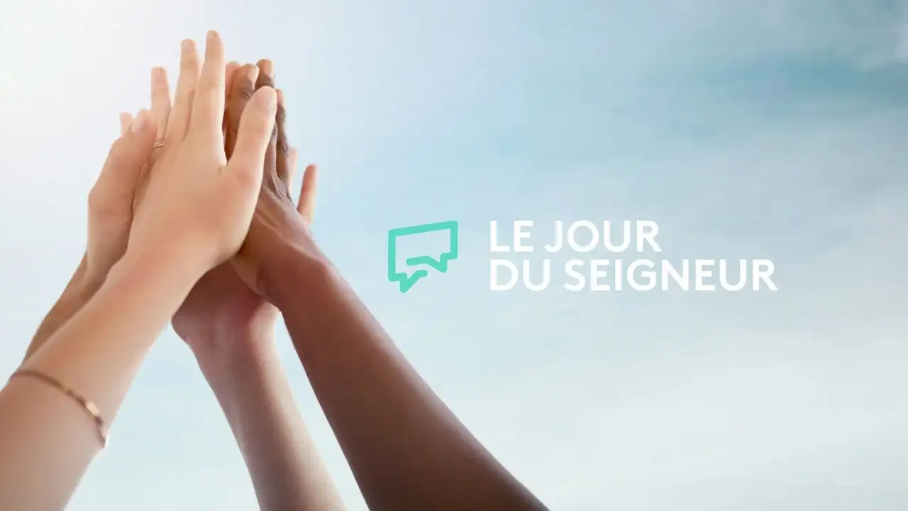 Présence protestante et Le jour du Seigneur : Entre les lignes - Les arbres dans la Bible – image d’arrière-plan