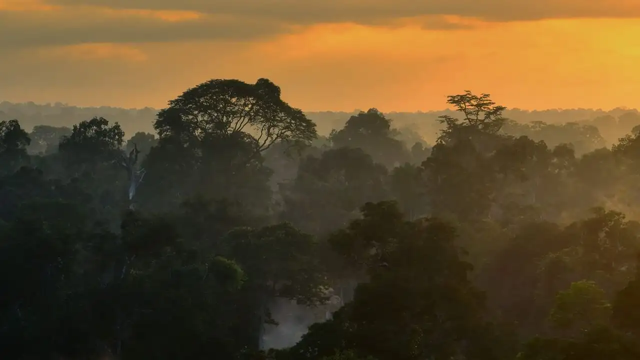 Africa Earth's Wild Home - Saison 1 - Les îles – image d’arrière-plan