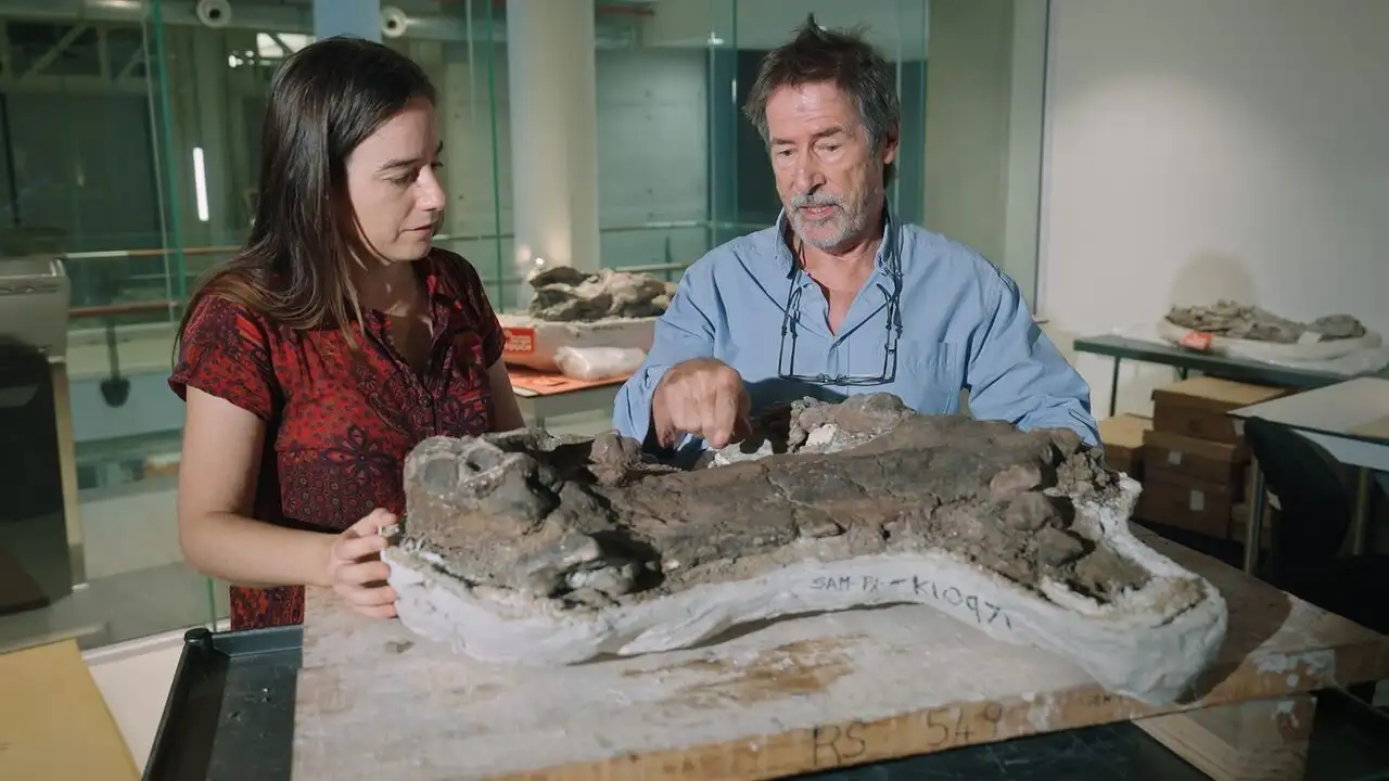 Aux origines des mammifères, le monde avant les dinosaures – image d’arrière-plan