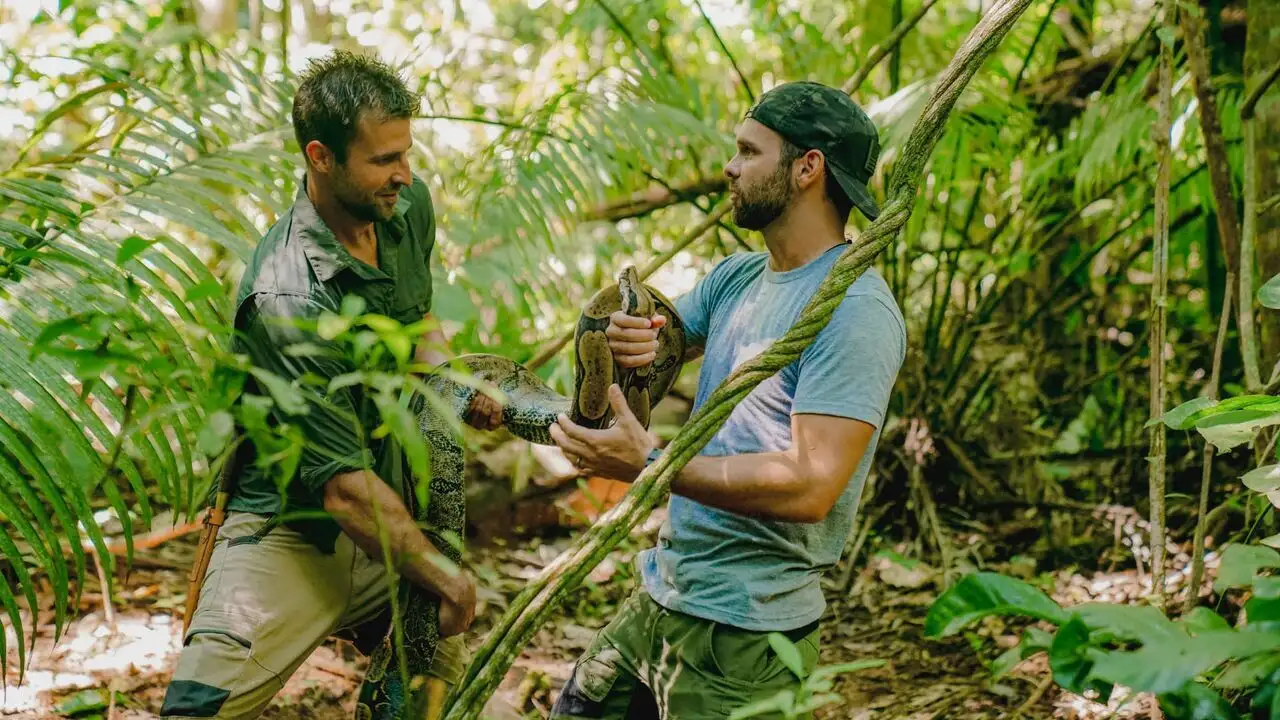 Morsures et piqûres : le grand test - Saison 1 - Varan du Nil et fourmi de velours – image d’arrière-plan