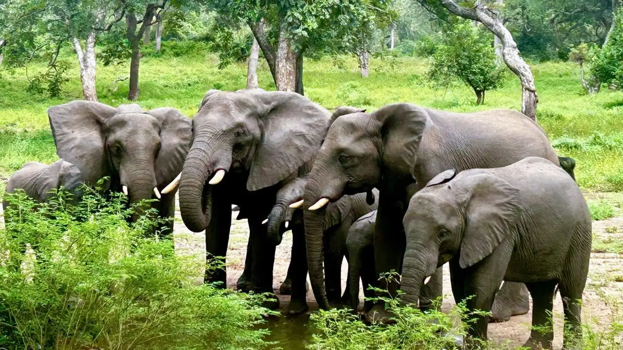 Malawi - Saison 1 - Une vie au bord du lac – image d’arrière-plan