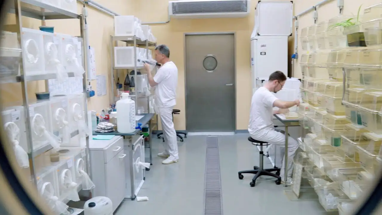 Virus et épidémies : l'île-laboratoire – image d’arrière-plan