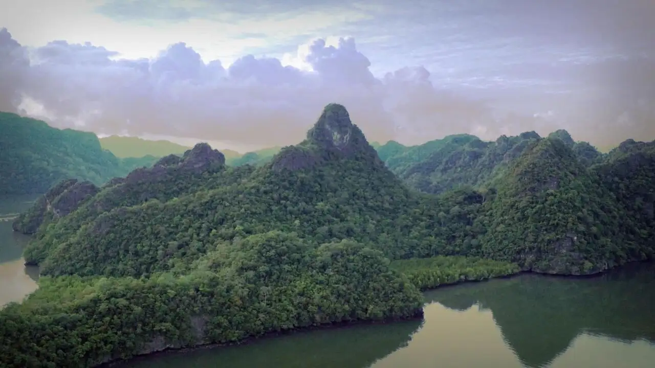 Malaisie, oasis de vies – image d’arrière-plan