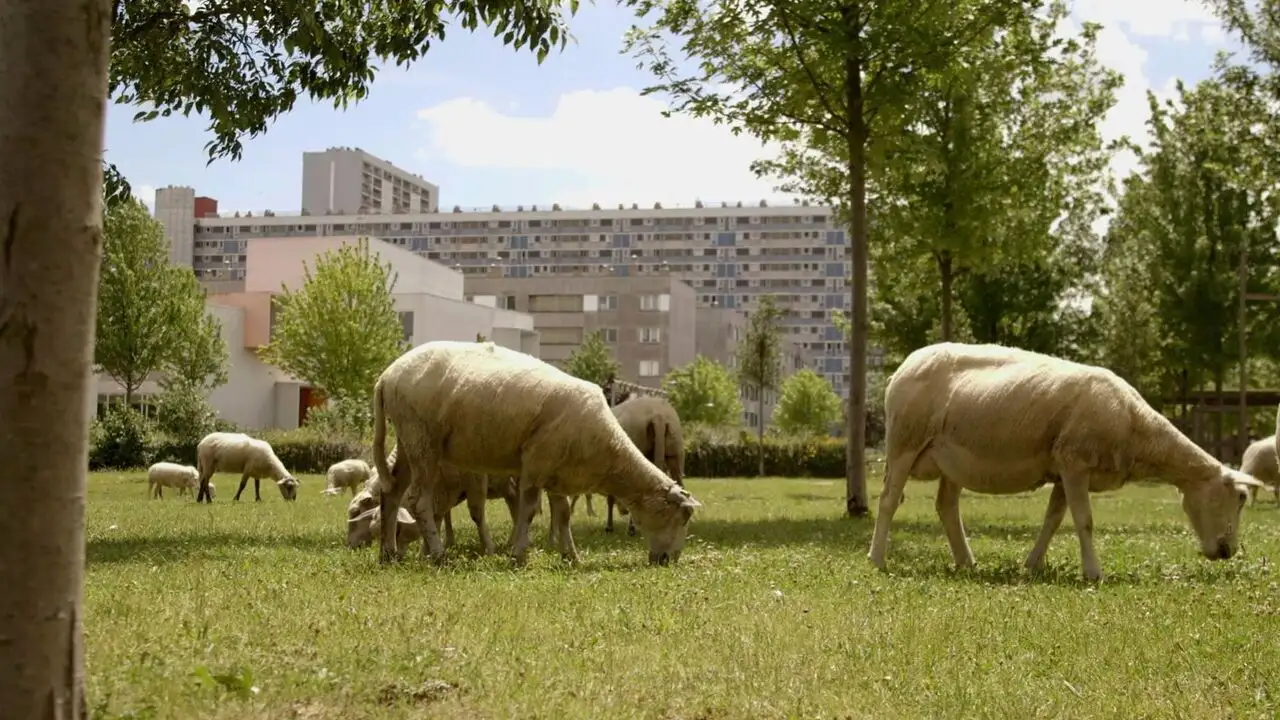 Le champ des possibles – image d’arrière-plan