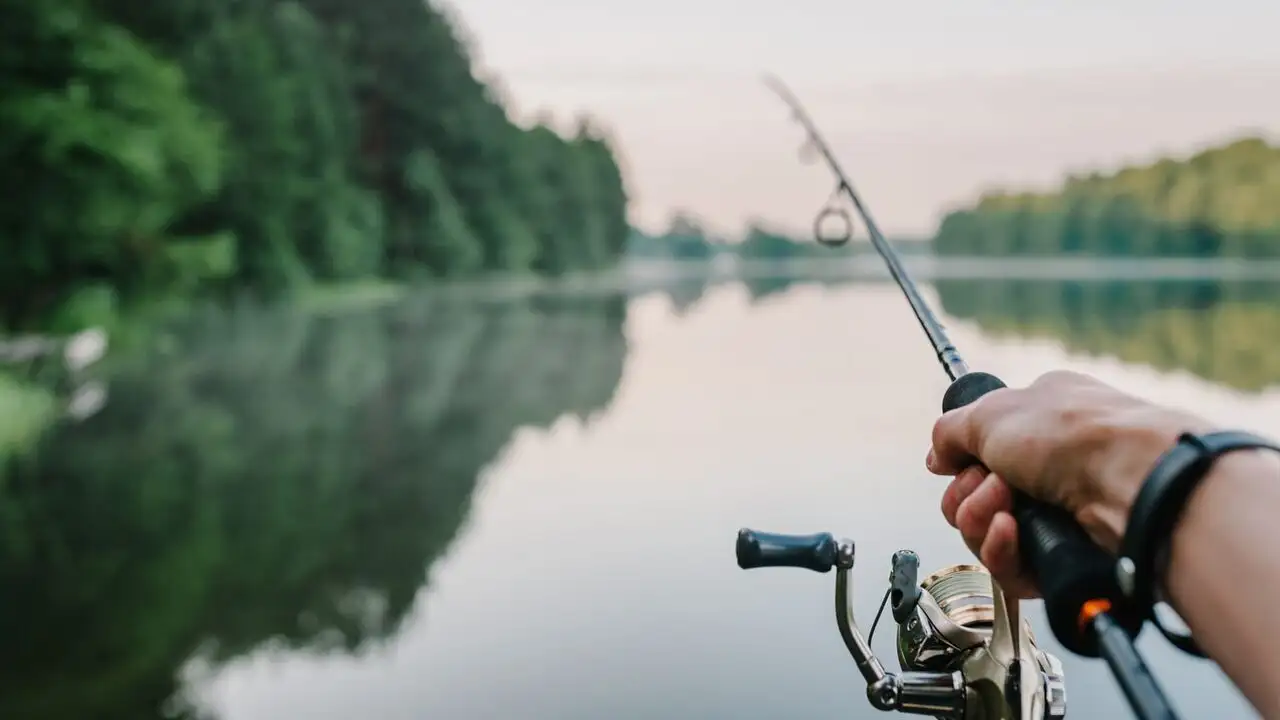 Label Pêche en Pays nantais - Saison 1 – image d’arrière-plan