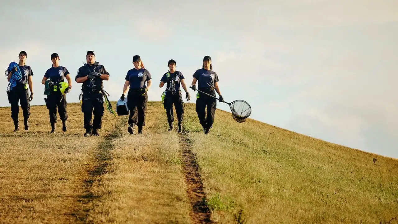Sauvetage animal - Saison 1 - Episode 1 – image d’arrière-plan