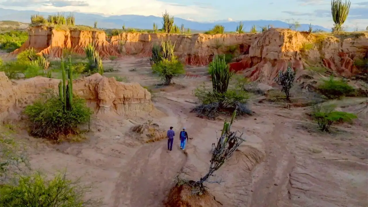 Colombie : Le sud-ouest du pays - Saison 1 - Le sud-ouest du pays – image d’arrière-plan