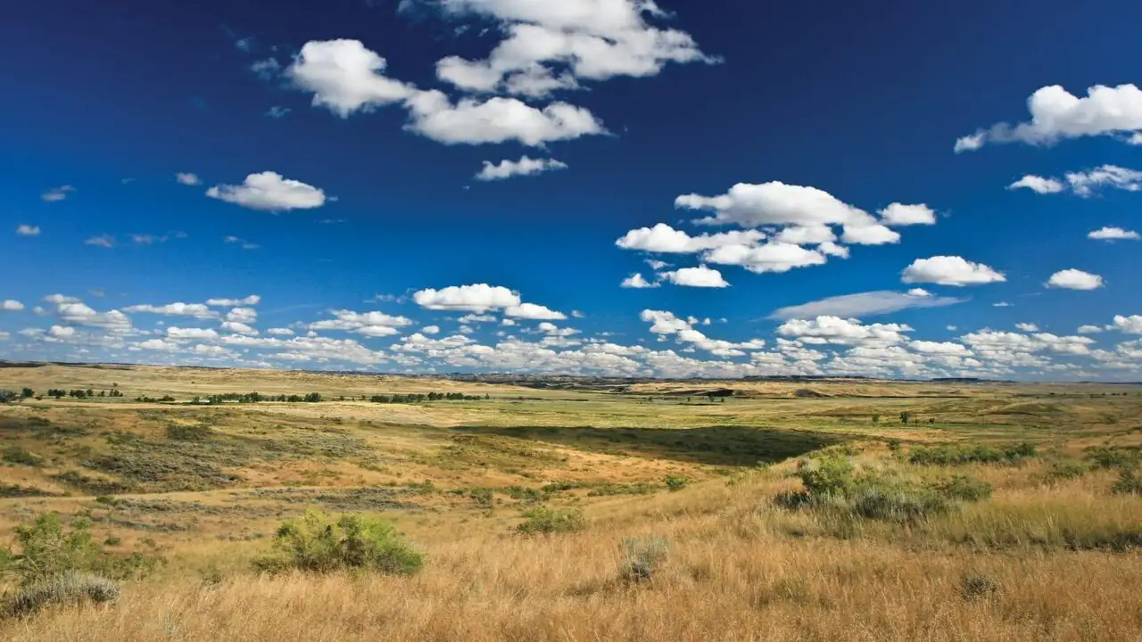 La grande prairie, le pacte du bison – image d’arrière-plan