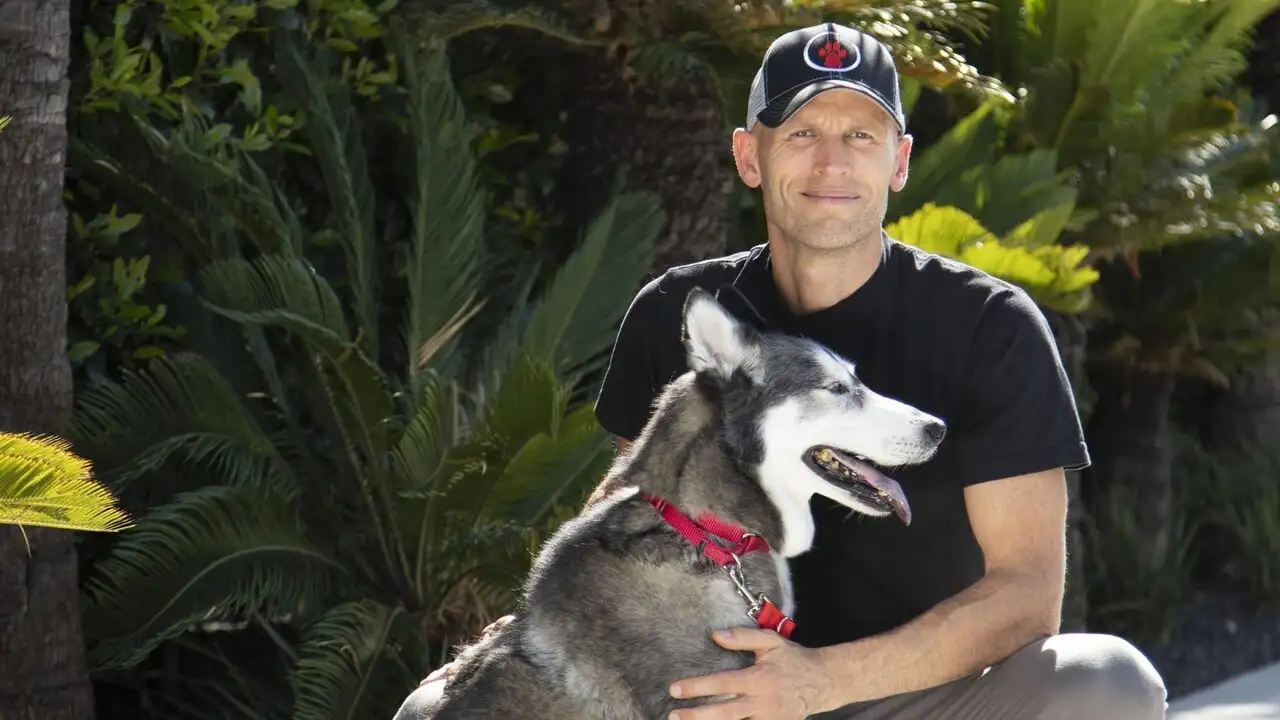 Dog Impossible : Seconde chance - Saison 1 - Au bord de la catastrophe – image d’arrière-plan