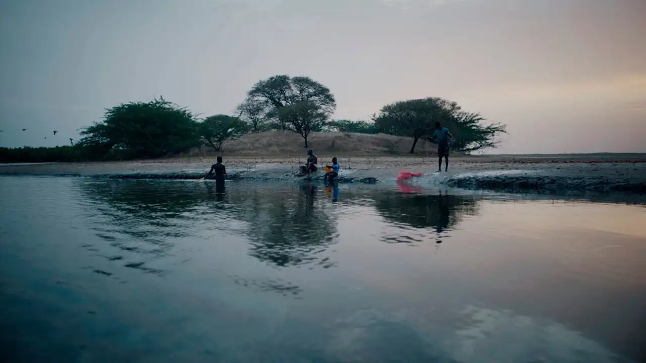 Patience (Sabali) – image d’arrière-plan