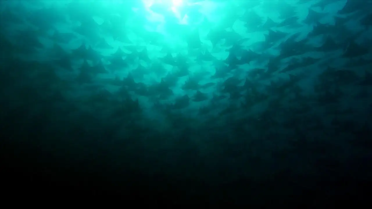 Ocean Odyssey – image d’arrière-plan