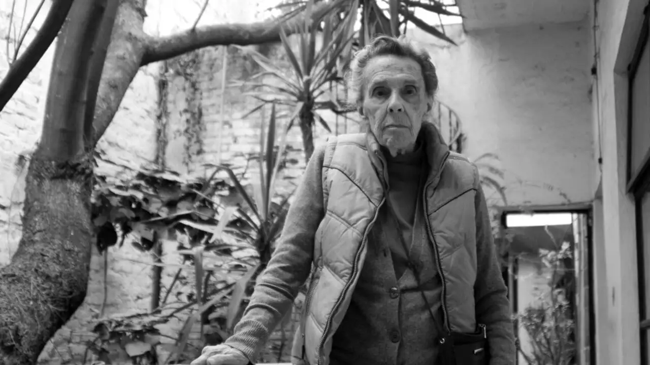 Leonora Carrington, pionnière du surréalisme – image d’arrière-plan