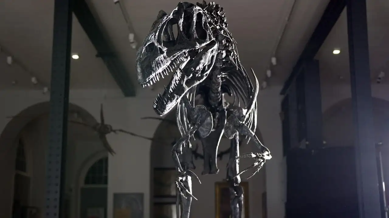 L'épopée des dinosaures – image d’arrière-plan