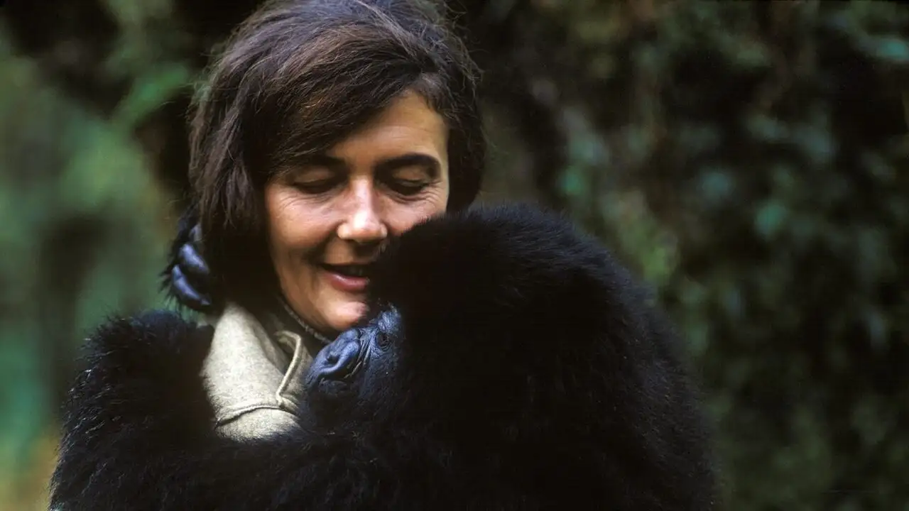Dian Fossey : des secrets dans la brume - Saison 1 - Gorilla Girl – image d’arrière-plan