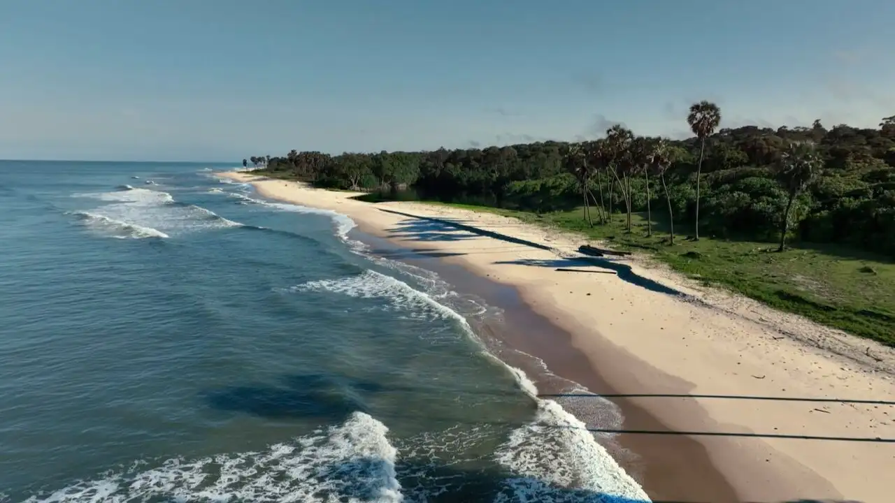 Les hippopotames surfeurs du Gabon – image d’arrière-plan