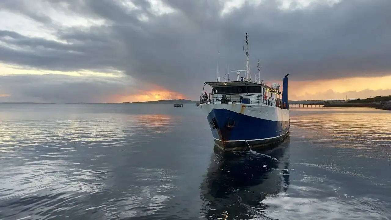 Géant des mers : Le requin - Le requin – image d’arrière-plan