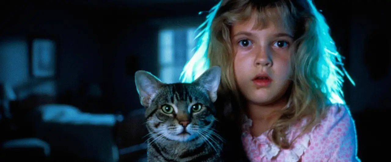 Cat's Eye – image d’arrière-plan