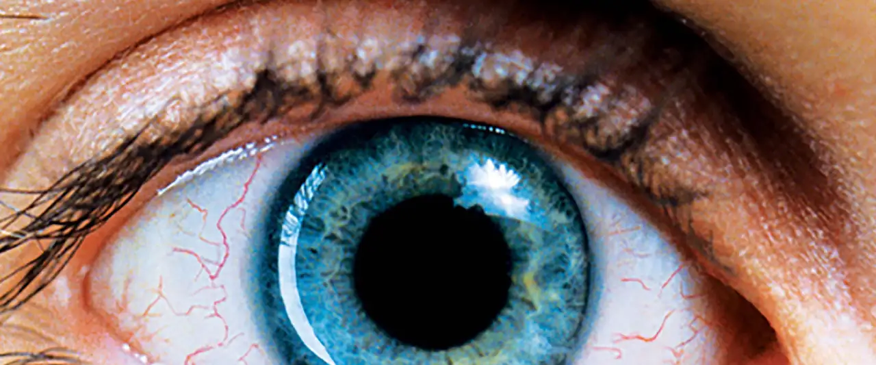 Regarder Requiem for a Dream en streaming - PlayTV