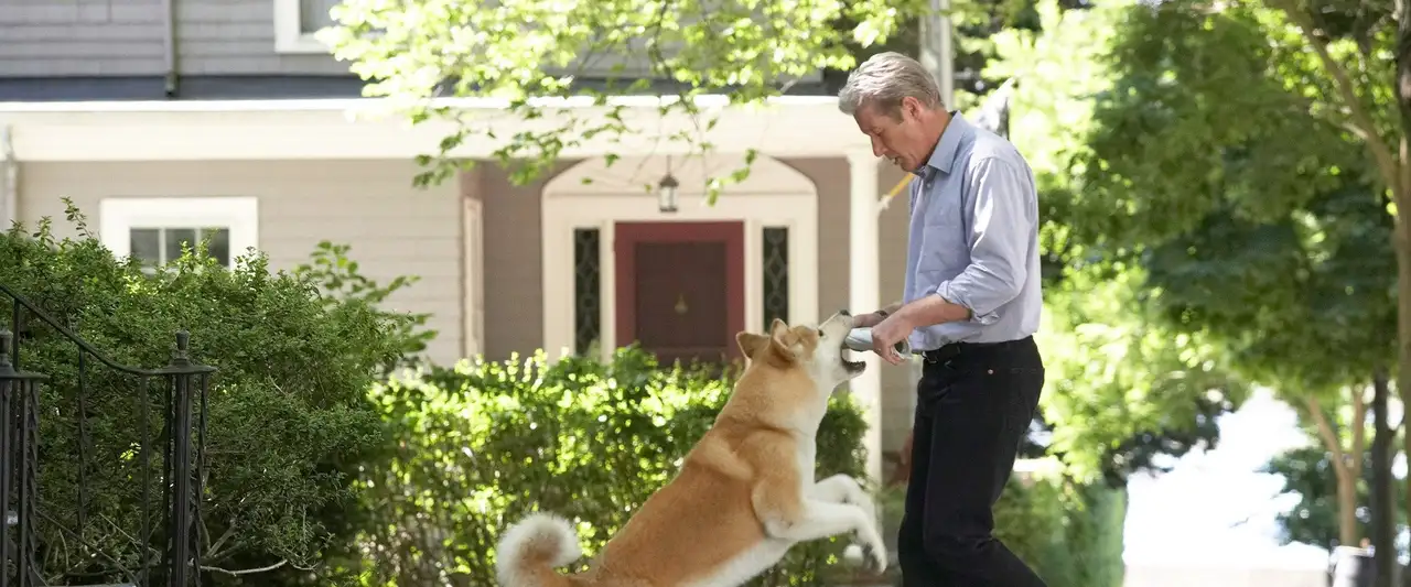 Hatchi – image d’arrière-plan