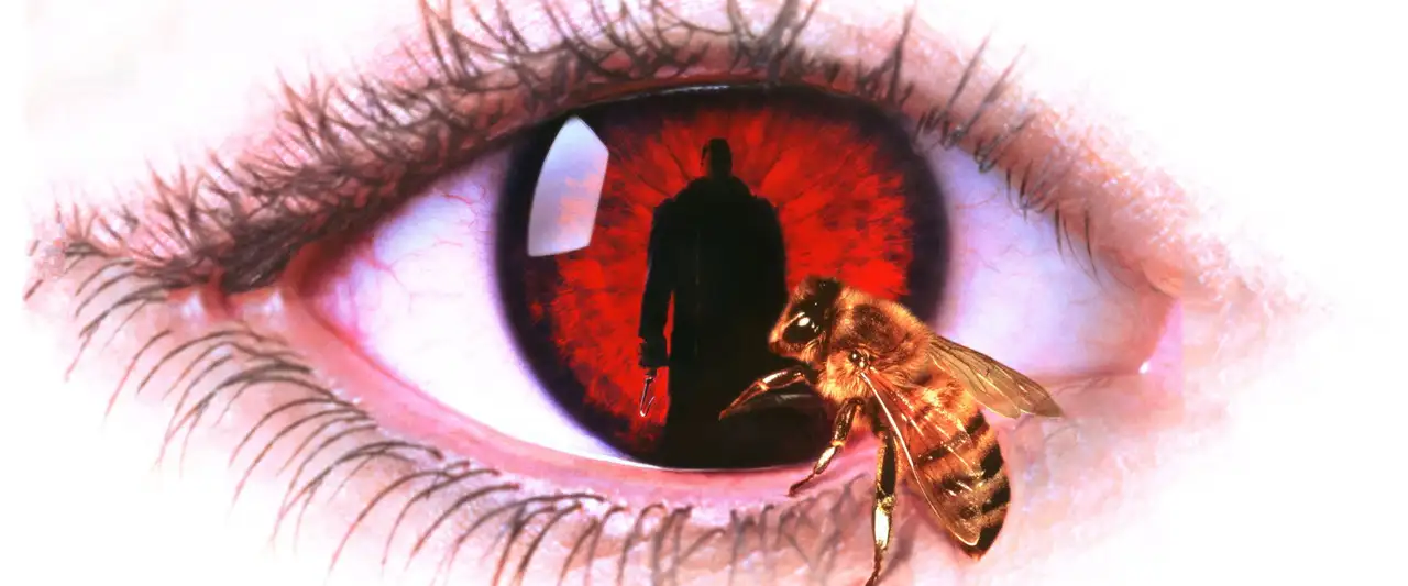 Candyman - Vous n'avez pas besoin de croire... Juste méfiez-vous. – image d’arrière-plan