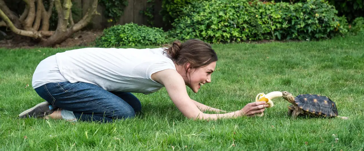 Girls Only - 20 ans. 30 ans. Quelle importance ? – image d’arrière-plan