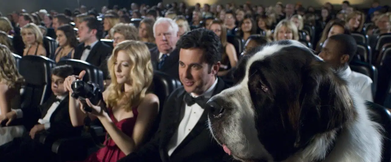 Beethoven 6 : Une star est née ! - Enfin un acteur qui a du chien ! – image d’arrière-plan
