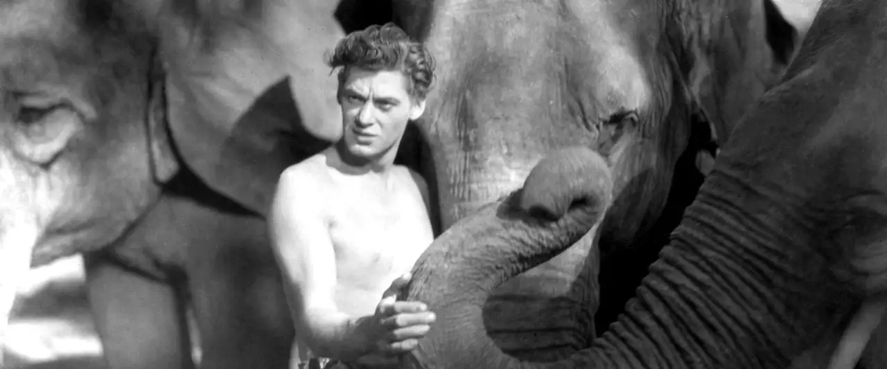Tarzan, l'homme singe - Il ne connaît que la loi de la jungle – image d’arrière-plan