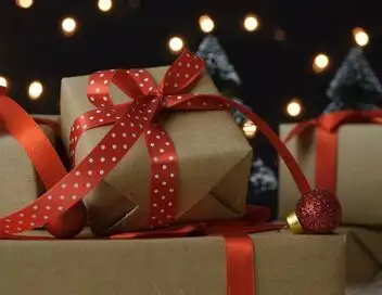 Zone interdite - Saumon et contrefaçon : enquête sur la face cachée de Noël – affiche