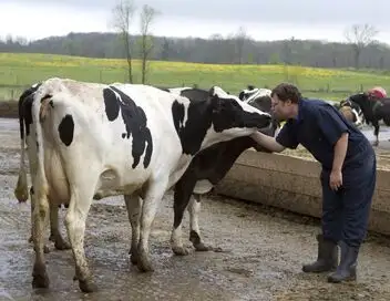 L'incroyable Dr Pol - Saison 2 - Folie de pleine lune – affiche