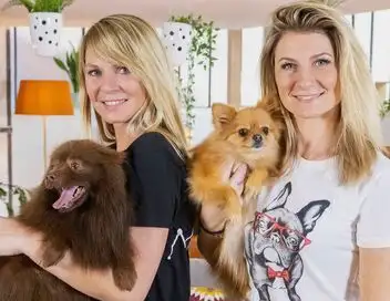 Animaux à adopter : nouvelle famille pour une nouvelle vie - Sephira et Amos – affiche