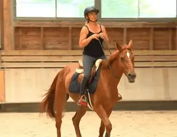 Au galop ! - Saison 6 - Lâcher la bride – affiche