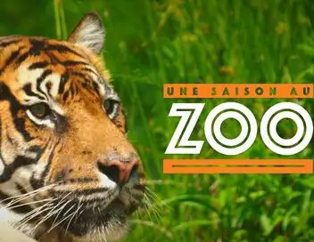 Une saison au zoo - Saison 14 – affiche