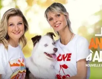 Animaux à adopter : nouvelle famille pour une nouvelle vie - Lady la golden de laboratoire, Marley le joyeux bouledogue – affiche