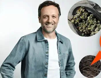 Très très bon - Saison 16 – affiche