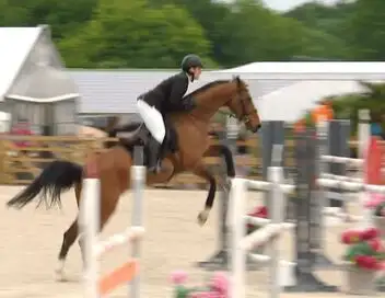Au galop ! - Saison 6 - Les Elites aux championnat des As – affiche