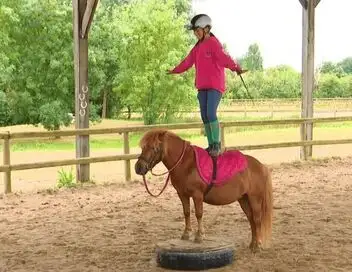 Au galop ! - Saison 6 - Les tours de Quitterie – affiche