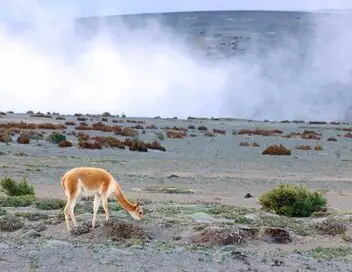 L'Equateur, au sommet de la biodiversité : De l'Amazonie aux volcans andins – affiche