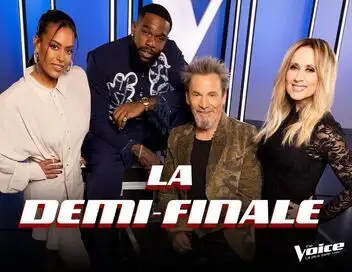 The Voice, la plus belle voix - Saison 15 – affiche