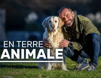 En terre animale - Ces produits qui nous viennent des animaux – affiche