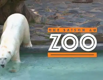 Une saison au zoo - Saison 10 – affiche